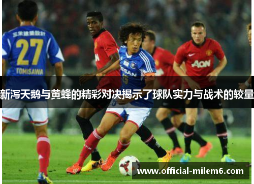 新泻天鹅与黄蜂的精彩对决揭示了球队实力与战术的较量